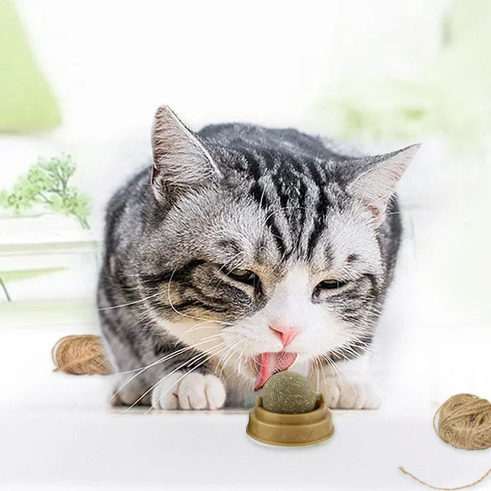 1-10PC Pet Catnip Toys Edible Catnip Ball Safety Healthy Cat Mint Cats Chasing Game Toy Products Clean Teeth the Stomach Catmint