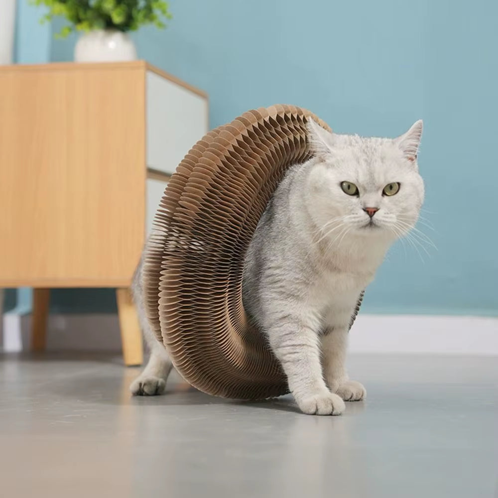 Transformable Kitty Kurlz Cat Toy Wear-Resistant No Crumbs Cat Scratching Board Resistant to Scratching