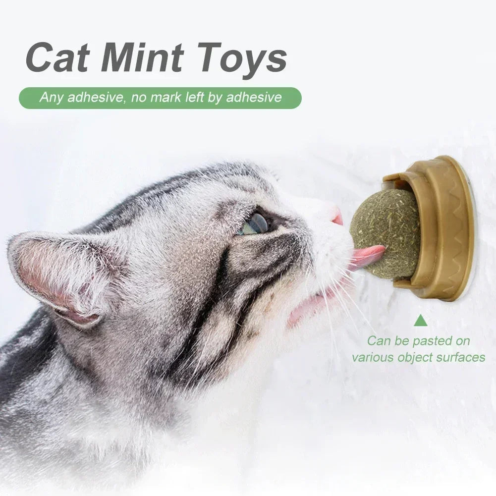1-10PC Pet Catnip Toys Edible Catnip Ball Safety Healthy Cat Mint Cats Chasing Game Toy Products Clean Teeth the Stomach Catmint