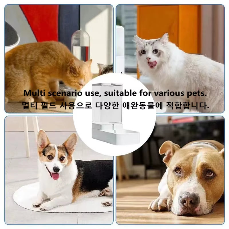 Dog Automatic Feeder Transparent Automatic Gravity Cat Water Bowl High Capacity Food Storage Container Cat and Dog Accessories
