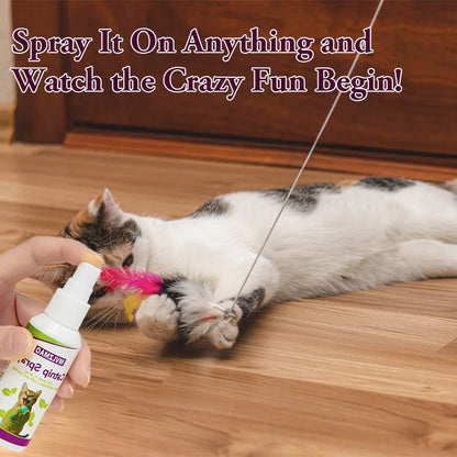 Catnip Spray for Cats, Cat Scratching Spray Mist, Transparent Cat & Kitten Behaviour Spray 60 Ml Spray Bottle for Training