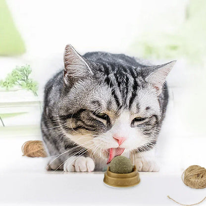 1-10PC Pet Catnip Toys Edible Catnip Ball Safety Healthy Cat Mint Cats Chasing Game Toy Products Clean Teeth the Stomach Catmint