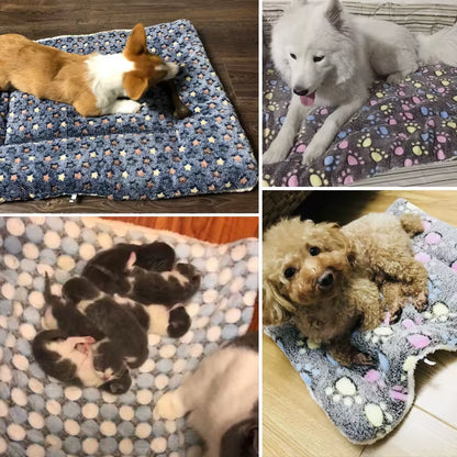 Pet Mats Thicken Soft Cat Bed for Dog Alfombra Mat Winter Cat Mat Blanket Pet Products Dog Bed for Small Large Dogs Carpet