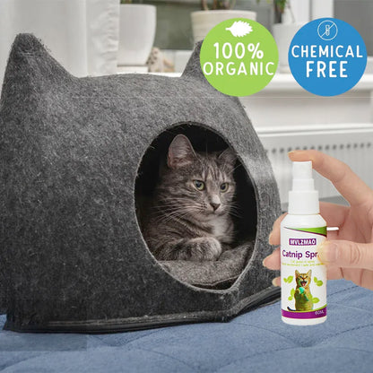 Catnip Spray for Cats, Cat Scratching Spray Mist, Transparent Cat & Kitten Behaviour Spray 60 Ml Spray Bottle for Training