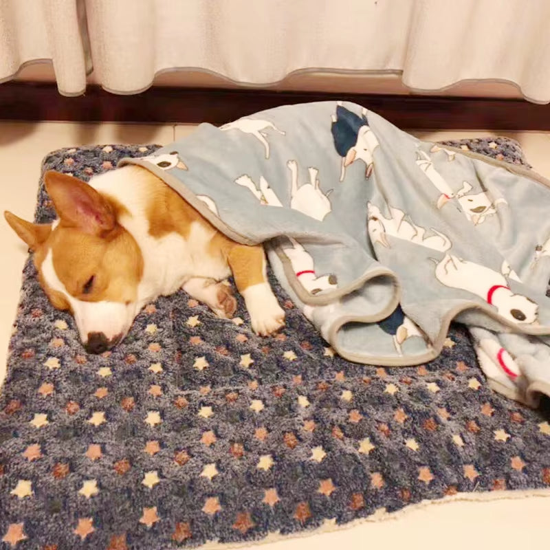 Pet Mats Thicken Soft Cat Bed for Dog Alfombra Mat Winter Cat Mat Blanket Pet Products Dog Bed for Small Large Dogs Carpet