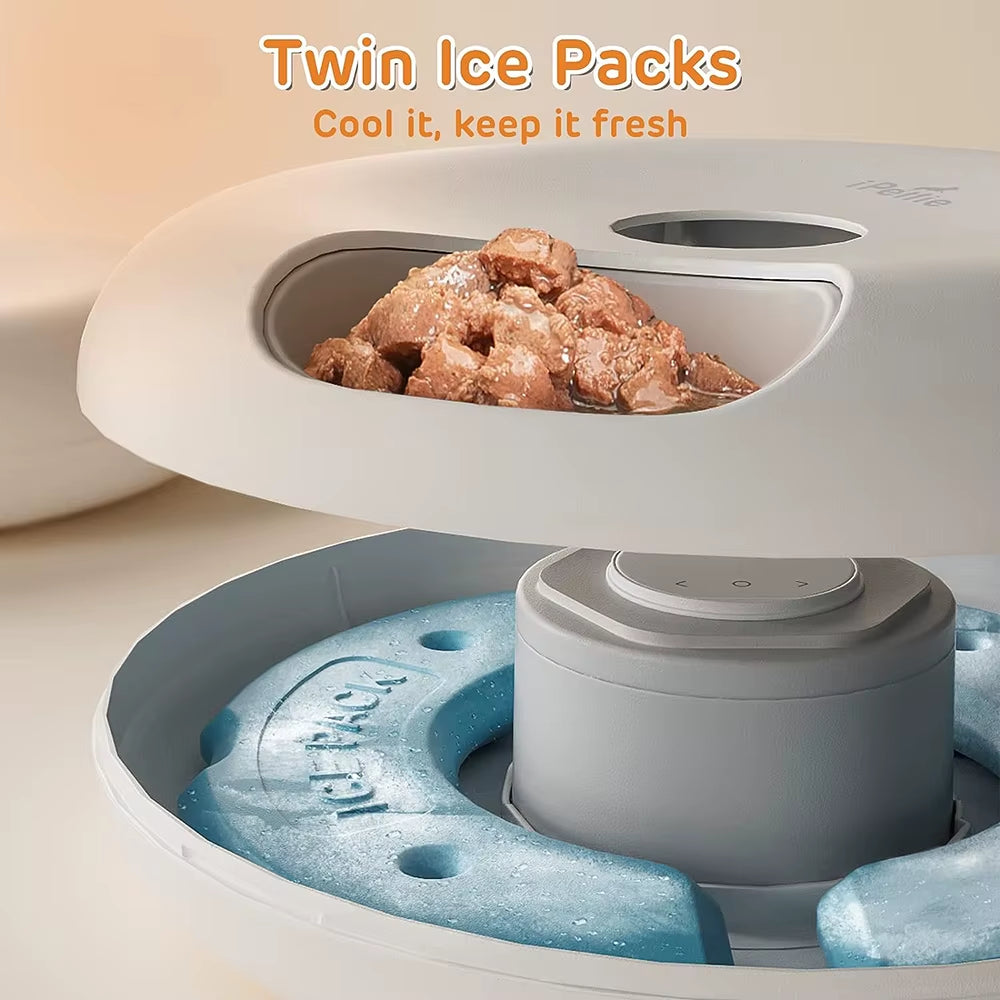 Freshness Dry Wet Food Recharging Automatic Pet Feeder Cat Smart Feeding Dog Food Dispenser Wifi Button Timing Slow Feeding